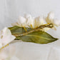 Headdress of azaleas and hydrangeas.