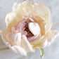 Flor de seda para el pelo, flor peonia blanca y rosa para invitada, flor de tela para peinado de novia.