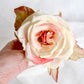 Broche de Rosa amarilla.